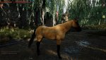 LEGENDARY HORSE 1.jpg
