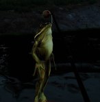 20220608155032_1 - Copy.jpg