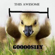 GOOOOSE